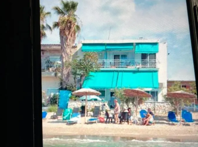 Maria 内亚卡瓦里