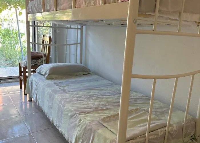 Maria 内亚卡瓦里