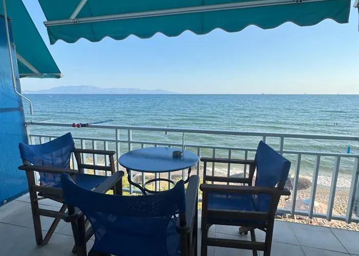 Maria * 内亚卡瓦里